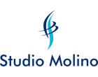 Logo - Ing. MOLINO Andrea Bruno