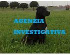 Logo - Agenzia Investigativa/recupero crediti Logo - Agenzia Investigativa/recupero crediti