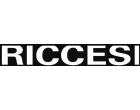 Logo - Ennio Riccesi Holding S.r.l.