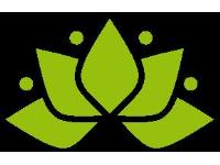 Logo - Lotus Srl