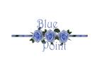 Logo - Blue Point traduzioni e interpretariato