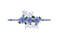 Logo - Blue Point traduzioni e interpretariato