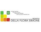 Logo - Della Flora geom. Simone