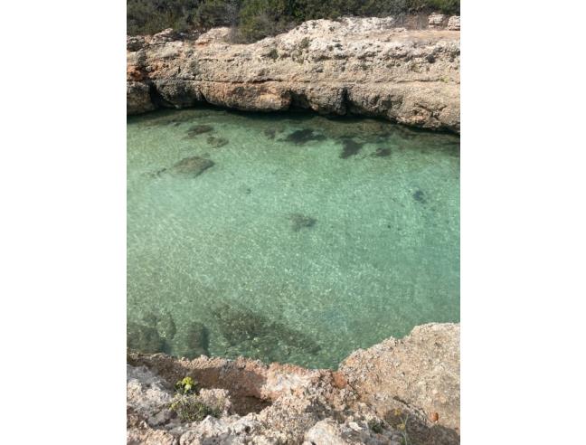 Anteprima foto 8 - Affitto Altro Vacanze da Privato a Ostuni (Brindisi)