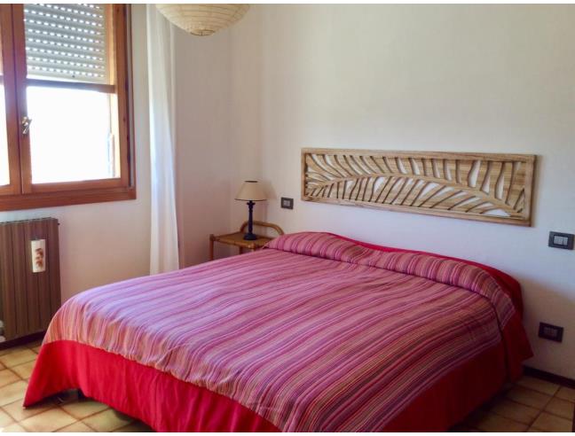 Anteprima foto 4 - Affitto Appartamento Vacanze da Privato a Castagneto Carducci - Donoratico