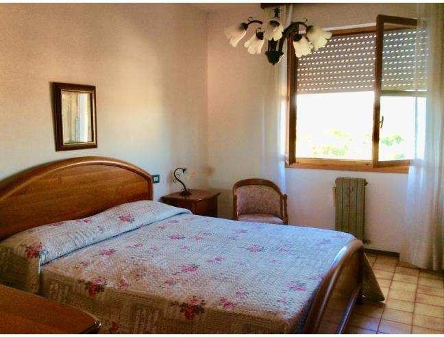 Anteprima foto 5 - Affitto Appartamento Vacanze da Privato a Castagneto Carducci - Donoratico