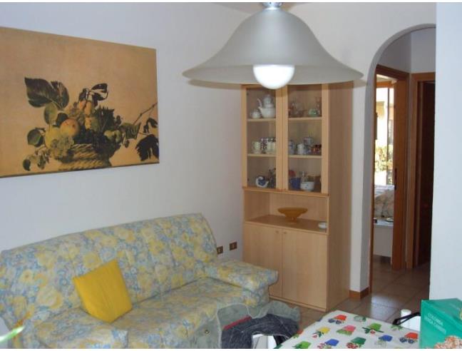 Anteprima foto 4 - Affitto Appartamento Vacanze da Privato a Castagneto Carducci - Marina Di Castagneto Carducci