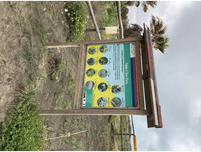 Anteprima foto 1 - Affitto Appartamento Vacanze da Privato a Cerveteri (Roma)