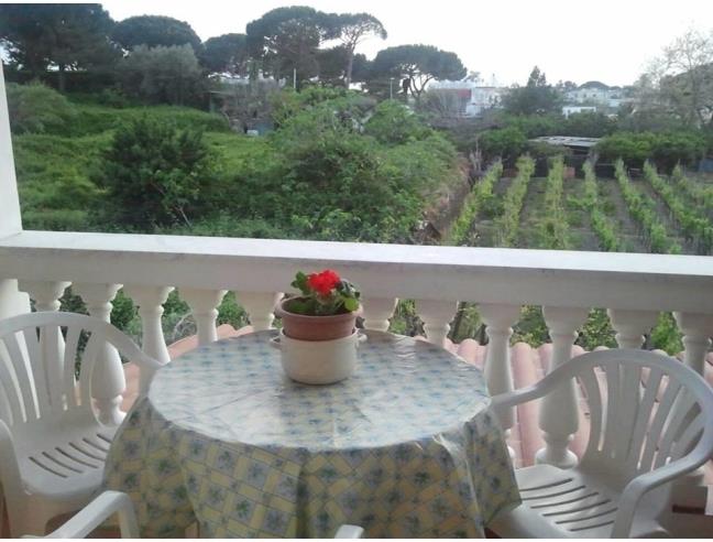 Anteprima foto 8 - Affitto Appartamento Vacanze da Privato a Ischia (Napoli)