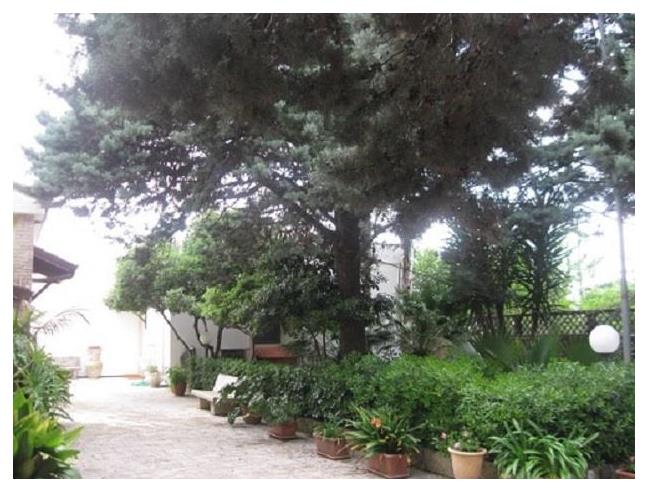 Anteprima foto 6 - Affitto Appartamento Vacanze da Privato a Miggiano (Lecce)