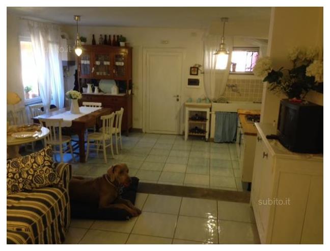 Anteprima foto 3 - Affitto Appartamento Vacanze da Privato a Monte Argentario - Porto Santo Stefano