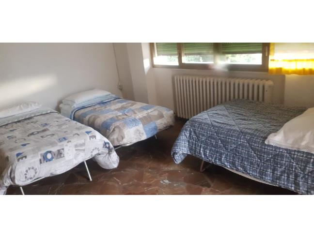 Anteprima foto 5 - Affitto Appartamento Vacanze da Privato a Montespertoli - Ortimino