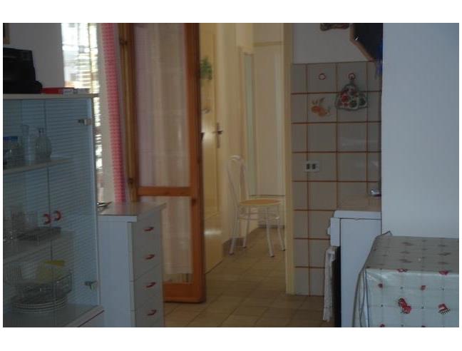 Anteprima foto 3 - Affitto Appartamento Vacanze da Privato a Scalea (Cosenza)