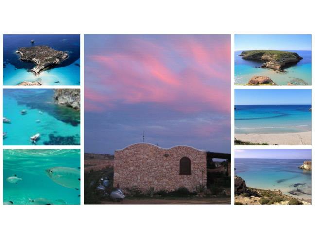 Anteprima foto 1 - Affitto Baita/Chalet/Trullo Vacanze da Privato a Lampedusa e Linosa - Lampedusa