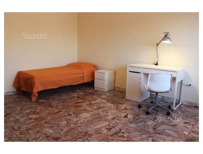 Anteprima foto 3 - Affitto Camera Singola in Appartamento da Privato a Foggia - Centro città