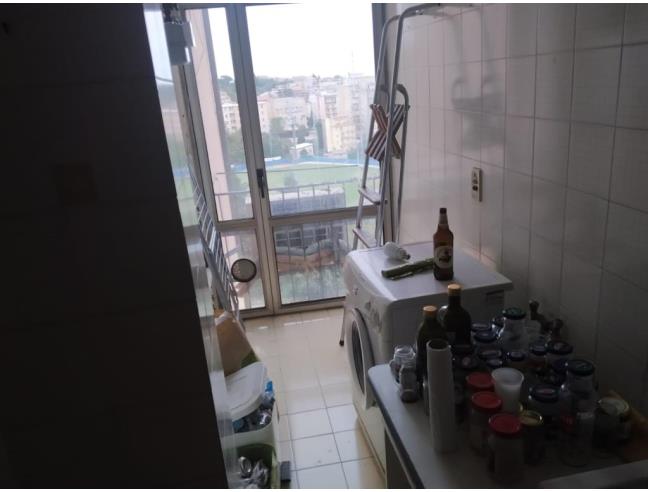 Anteprima foto 5 - Affitto Camera Singola in Appartamento da Privato a Macerata - Centro città