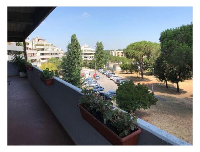 Anteprima foto 5 - Affitto Camera Singola in Appartamento da Privato a Roma - Eur