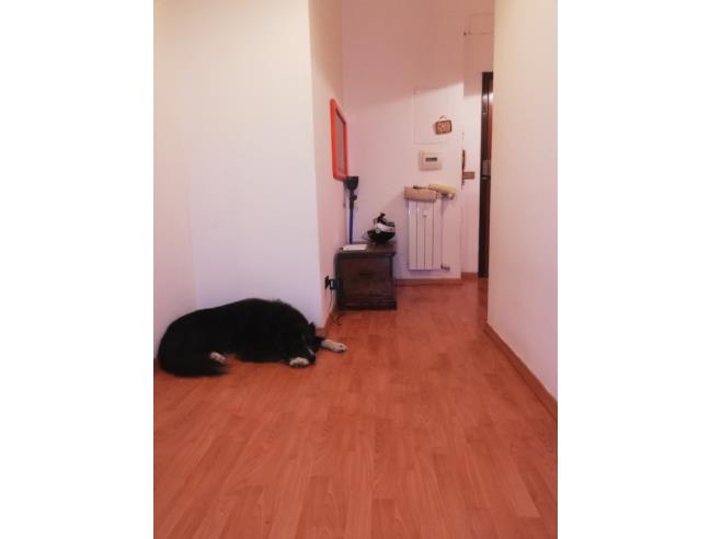 Anteprima foto 3 - Affitto Camera Singola in Appartamento da Privato a Roma - Flaminio