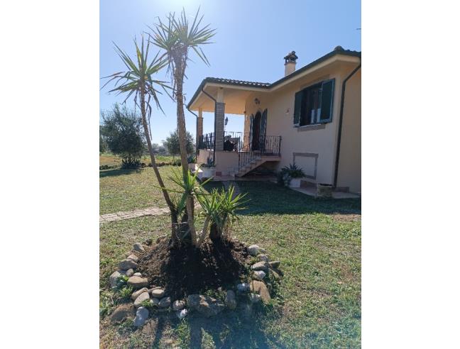 Anteprima foto 2 - Affitto Casa Vacanze da Privato a Cerveteri - Valcanneto