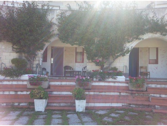 Anteprima foto 5 - Affitto Casa Vacanze da Privato a San Nicola Arcella (Cosenza)