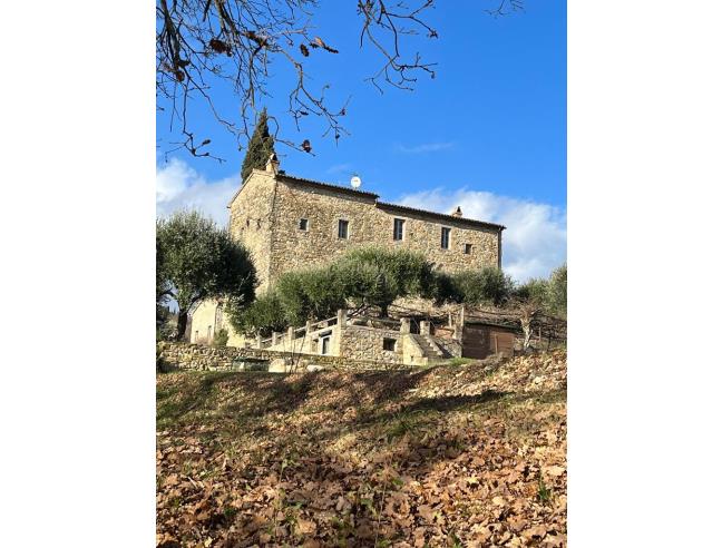 Anteprima foto 8 - Affitto Castello Vacanze da Privato a Montone (Perugia)