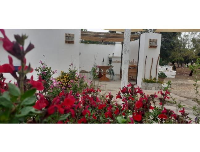 Anteprima foto 5 - Affitto Dimora tipica Vacanze da Privato a Villa Castelli (Brindisi)