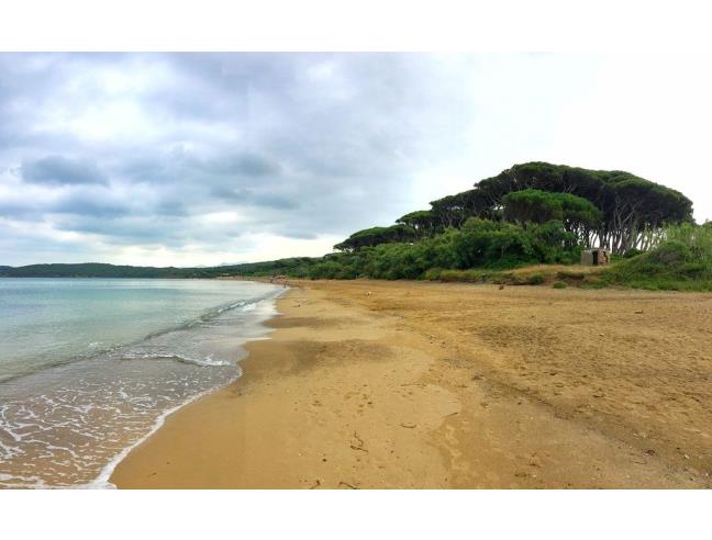 Anteprima foto 4 - Affitto Rustico/Casale Vacanze da Privato a Campiglia Marittima (Livorno)