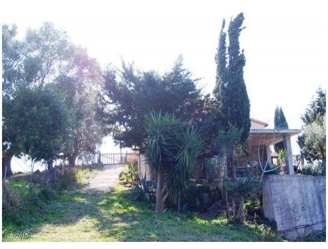 Anteprima foto 4 - Affitto Villa Vacanze da Privato a Agropoli (Salerno)