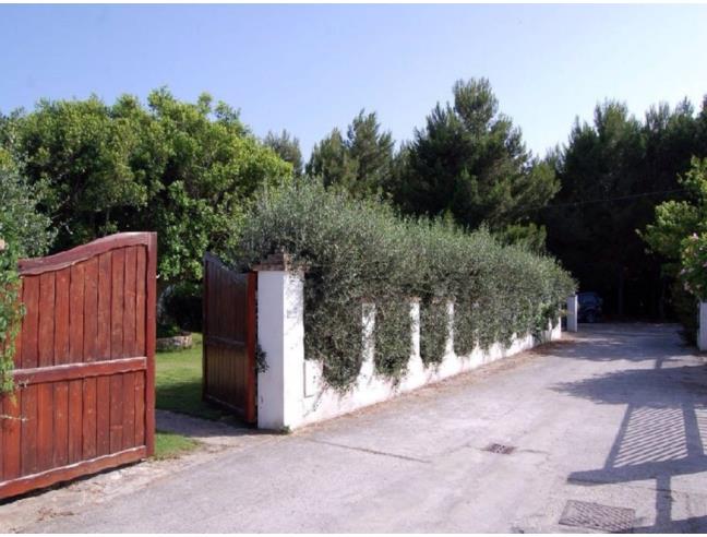 Anteprima foto 3 - Affitto Villa Vacanze da Privato a Calasetta (Carbonia-Iglesias)