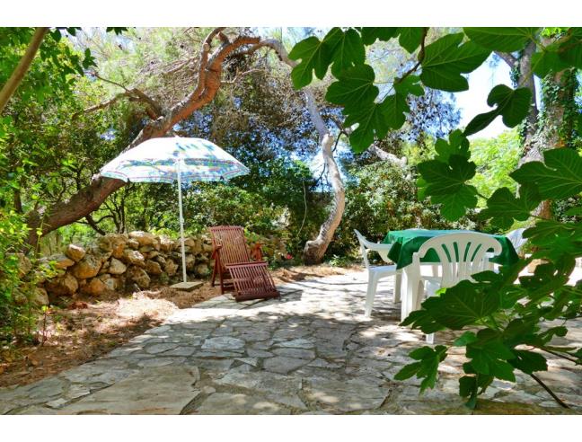 Anteprima foto 1 - Affitto Villa Vacanze da Privato a Castrignano del Capo - Leuca