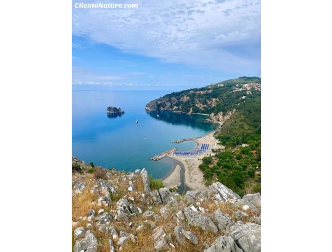 Anteprima foto 7 - Affitto Villa Vacanze da Privato a Centola - Palinuro