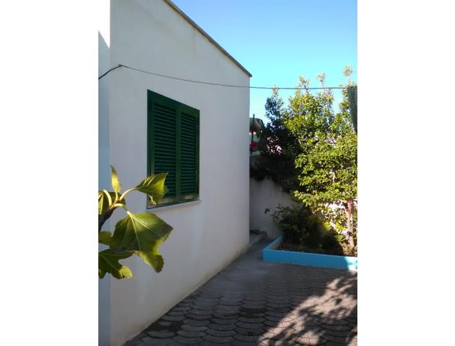 Anteprima foto 7 - Affitto Villa Vacanze da Privato a Manduria - San Pietro
