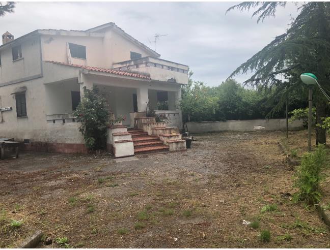 Anteprima foto 2 - Affitto Villa Vacanze da Privato a Mondragone (Caserta)