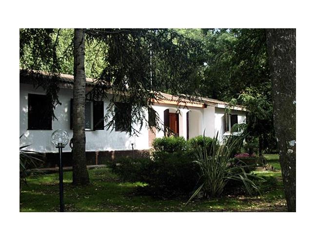 Anteprima foto 3 - Affitto Villa Vacanze da Privato a Sabaudia - Selva Piana Baia D'argento