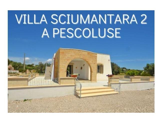 Anteprima foto 2 - Affitto Villa Vacanze da Privato a Salve - Marina Di Pescoluse