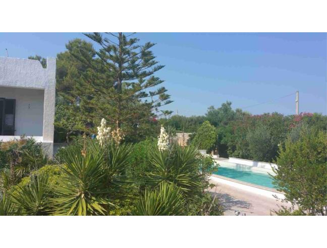 Anteprima foto 8 - Affitto Villa Vacanze da Privato a Salve - Marina Di Pescoluse