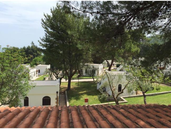 Anteprima foto 6 - Affitto Villa Vacanze da Privato a Vieste - Pugnochiuso