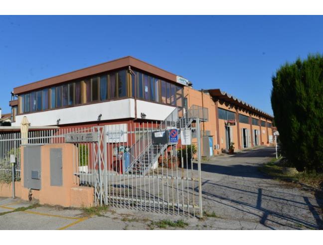 Anteprima foto 4 - Altro in Vendita a Ancona - Quartiere Monte Dago