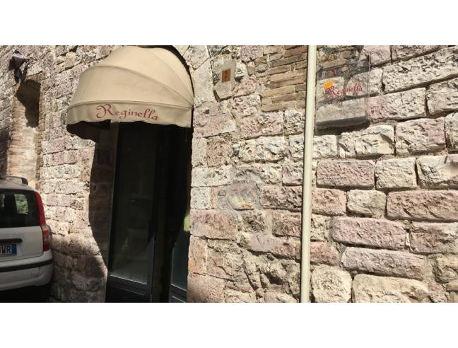 Anteprima foto 1 - Altro in Vendita a Assisi (Perugia)