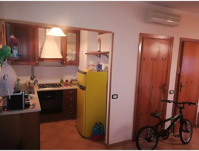 Anteprima foto 7 - Appartamento in Affitto a Anzio (Roma)