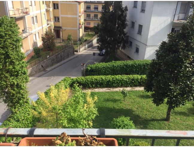 Anteprima foto 1 - Appartamento in Affitto a Avellino (Avellino)