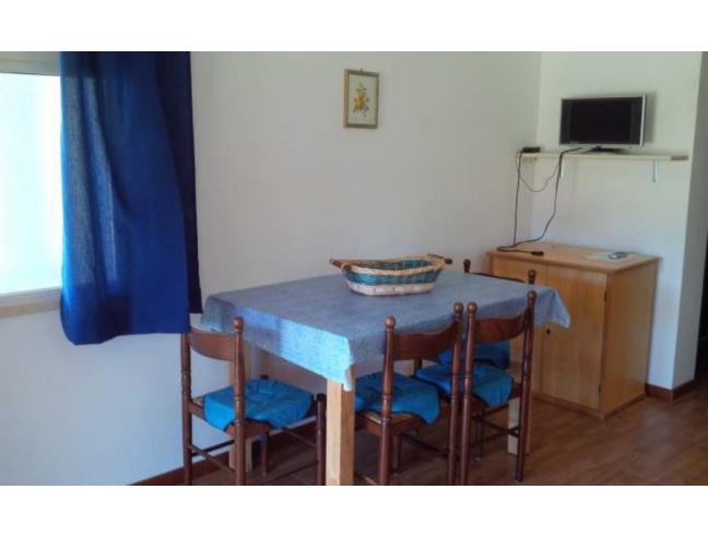 Anteprima foto 6 - Appartamento in Affitto a Capoliveri - Lacona