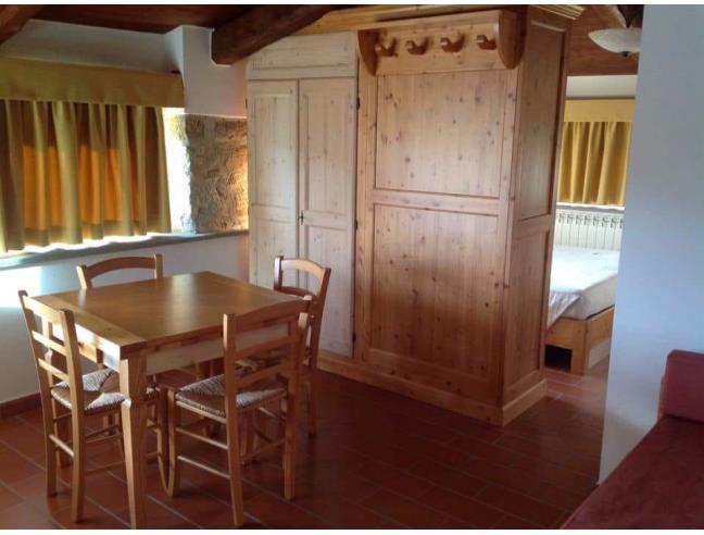 Anteprima foto 1 - Appartamento in Affitto a Castel del Piano - Montegiovi