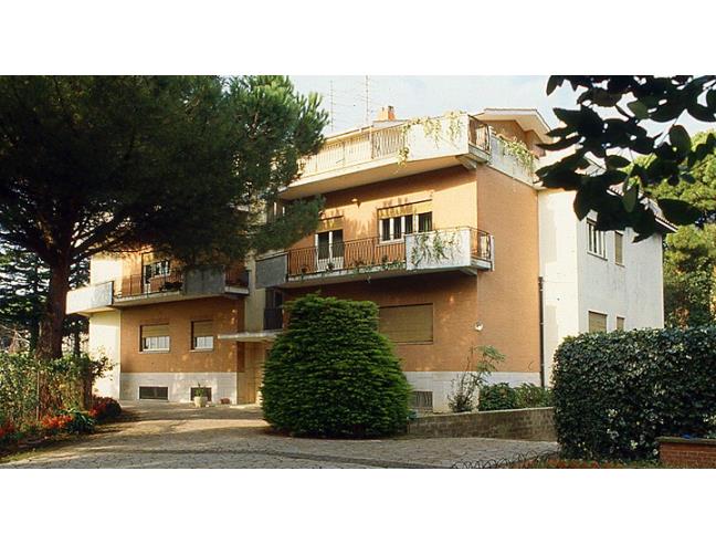 Anteprima foto 4 - Appartamento in Affitto a Grottaferrata (Roma)