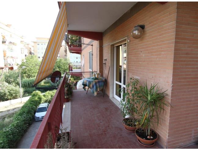 Anteprima foto 5 - Appartamento in Affitto a Ladispoli (Roma)