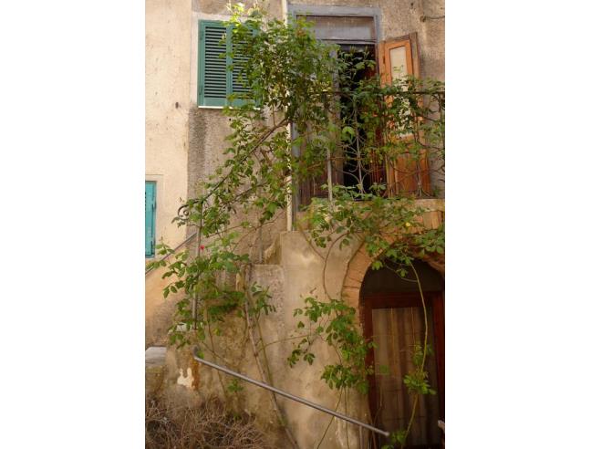 Anteprima foto 2 - Appartamento in Affitto a Manciano (Grosseto)