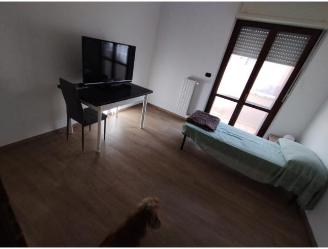 Anteprima foto 7 - Appartamento in Affitto a Mesagne (Brindisi)