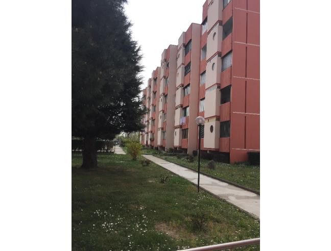 Anteprima foto 1 - Appartamento in Vendita a Beinasco - Borgaretto