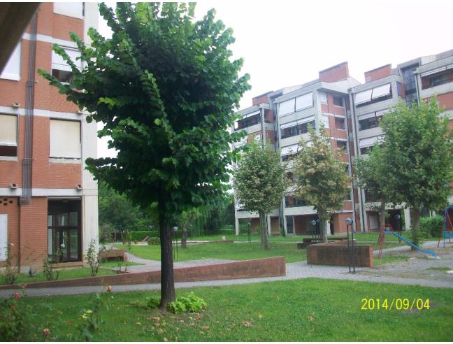 Anteprima foto 7 - Appartamento in Vendita a Collegno (Torino)
