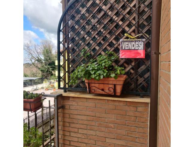 Anteprima foto 8 - Appartamento in Vendita a Gallicano nel Lazio (Roma)
